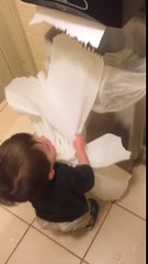 Toddler Pulls Armful of Paper Towels From Dispenser
