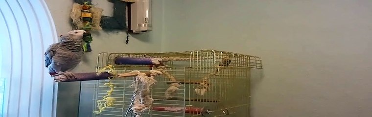 ЖАКО МОНЯ чихает и грубит