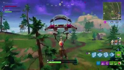 Live avec mon poto sur fortnite ! (43)