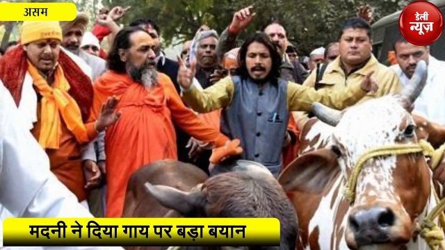 आखिर क्यों जगा Madani का गाय प्रेम, कही बड़ी बात