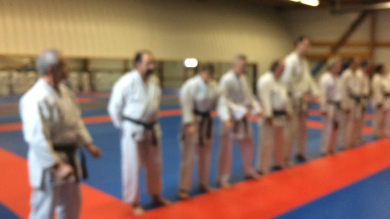 Stage de karaté avec Olivier Beaudry