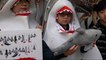 Hong Kong: Activists want 'shark fin' off menu