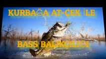 Kurbağa At-Çek İle Bass Balıkçılığı (Tekne Balıkçılığı Spin Avı)