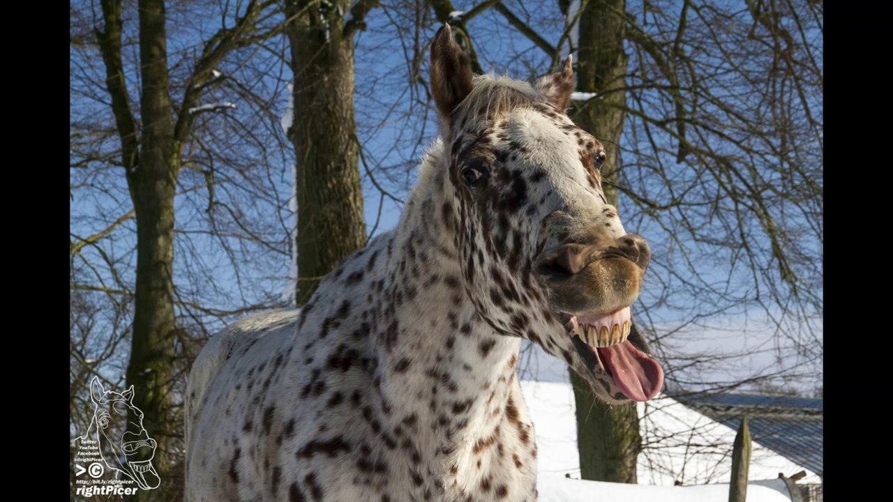 [neu] 2013 jahreszusammenfassung film