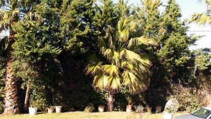 Agia Marina a new begining