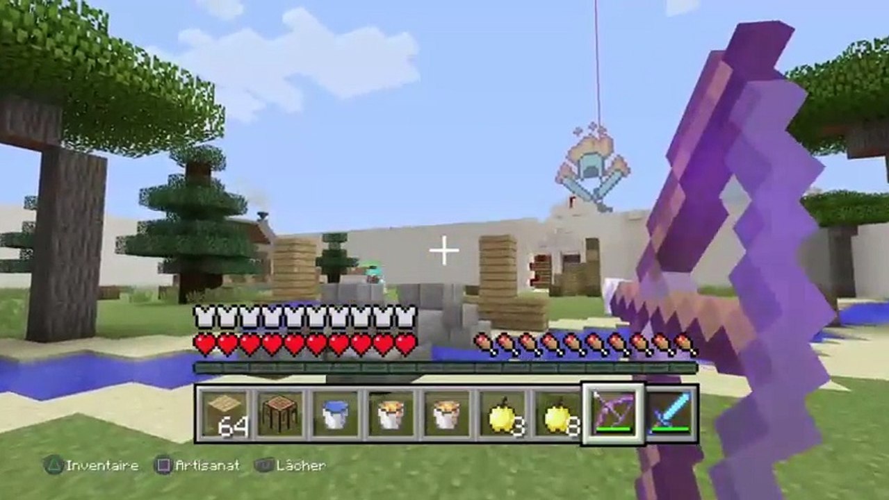 Minecraft (19)