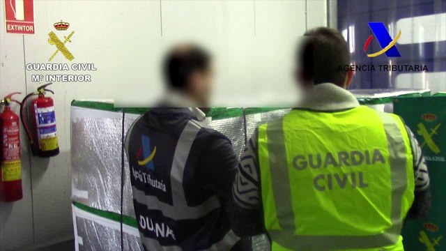 Interceptados en Barajas 310 kilos de angulas