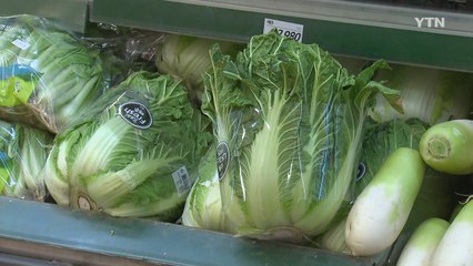 설 앞두고 채솟값 급등...장보기 '부담' / YTN