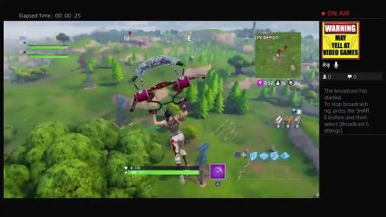 FORTNITE VICTORY ROYALE? (10)