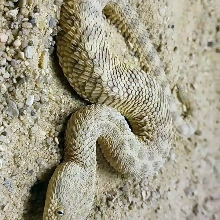 A New Hiding Spot