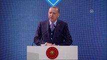 Cumhurbaşkanı Erdoğan: 'Birileri inatla bizi köklerimizden, kadim değerlerimizden koparmaya gayret ediyor' - İSTANBUL