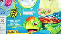꼬마 거북이 어항세트 장난감 그린 초코 꼬마 거북이 로봇 낚시 놀이 | CarrieAndToys