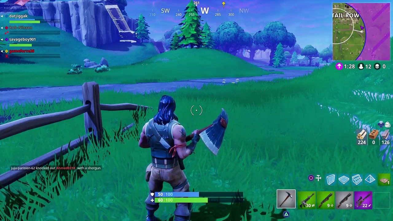 Fortnite (42)