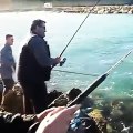 Puglia: grosso squalo predatore filmato vicino agli scogli