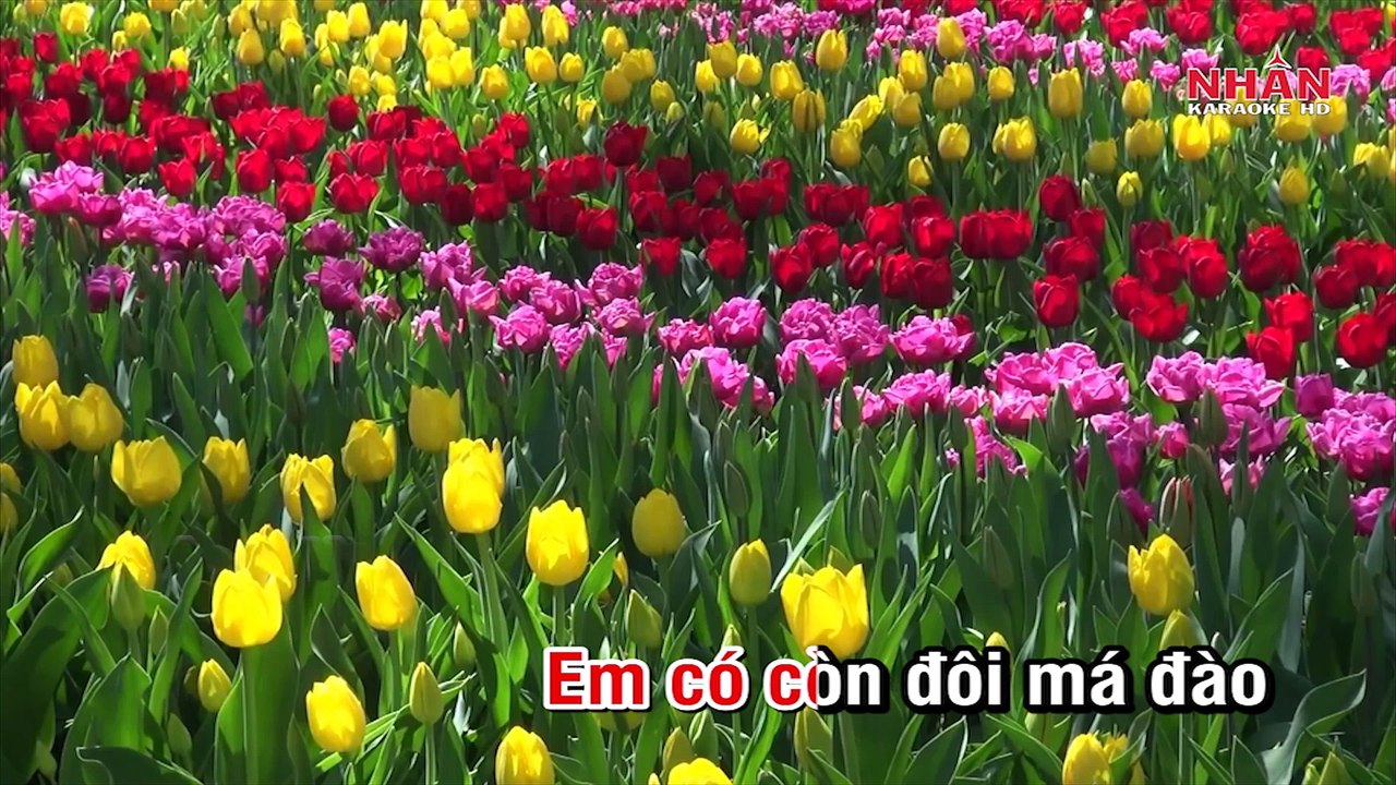 Trộm Nhìn Nhau (Karaoke Beat) - Tone Nữ