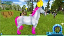 SSO #4-Os novos cavalos selvagens mágicos
