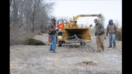 Hedgerow Management at Highland Hill Farm