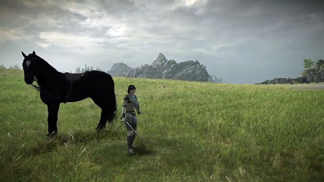 PantherOfLight (17)