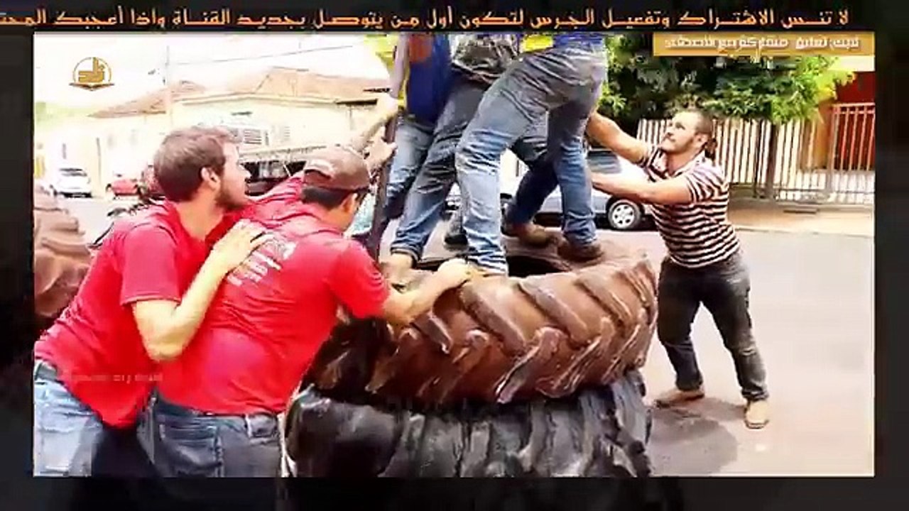 هل تعتقد أنهم مجانين !؟ شاهد وتعلم ماذا تصنع روح الجماعة والاصرار