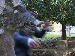 Les chats ont peur de moi