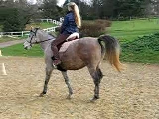 Laurette 11-2007 054