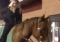 Woman Rides Horse Through a Wendy’s Drive-Thru in Pennsylvania