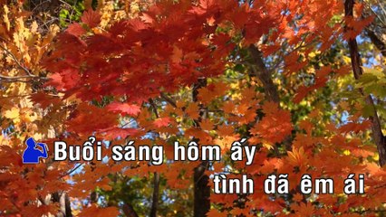 Tình Anh Ngọn Nến - Anh Tú
