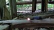Shenandoah National Park Pocosin Trail Old Ruins Flashlight Session Lunar Paranormal Virginia