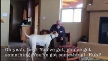 Son père atteint d’Alzheimer et ne parle plus, mais attendez de voir ce qu'il passe quand il reste seul avec le chien de la maison!