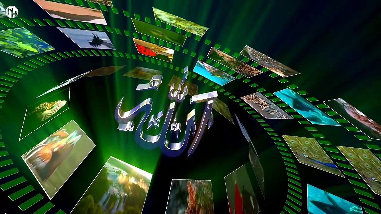 Dhugaa Uumamaa Kutaa 6ffaa