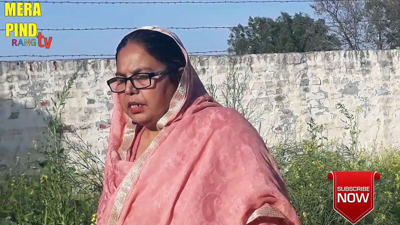 Punjabi lok geet marriage ਹਰੀਆਂ ਪੀਲਾਂ ਪੱਕੀਆਂ ਨੀ ਮੇਰੀ ਰਾਣੀਏ ਮਾਏ