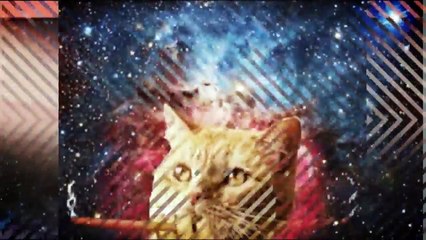 Gatos Haciendo Dubstep