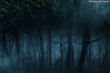 Historias De Terror - El Gorrion