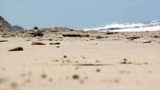 Beach Feet Sand Walking Vacation Holidays Summer
