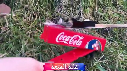 ماذا سيحدث اذا  لصقنا الصاروخ والسيارة وبعدها اطلقنا الصاروخ