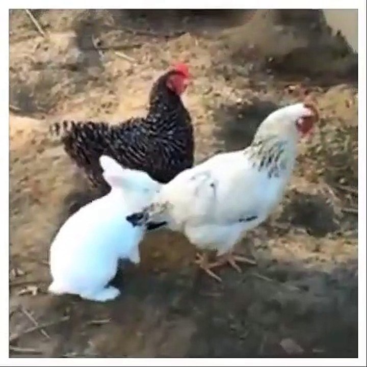 Heißer Flirt: Wie man sich so richtig scharf macht [subtitled] | Knallerfrauen mit Martina Hill