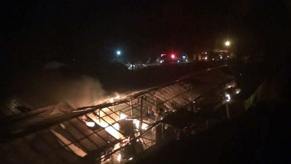 서울 세곡동 화훼단지 화재...2천5백만 원 재산피해 / YTN