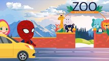 maşa ile koca ayı - maşa ve sbiderman ağlıyorlar -  çizgi film