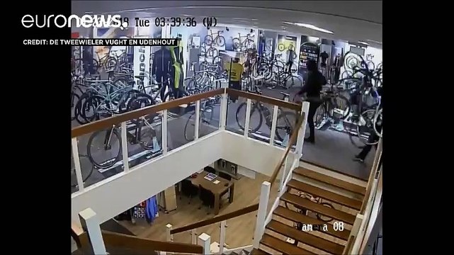 Ladri rubano 100k€ di bici in 2 minuti
