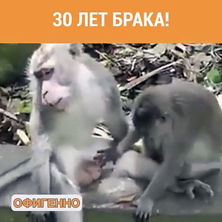 После 30 лет брака.....