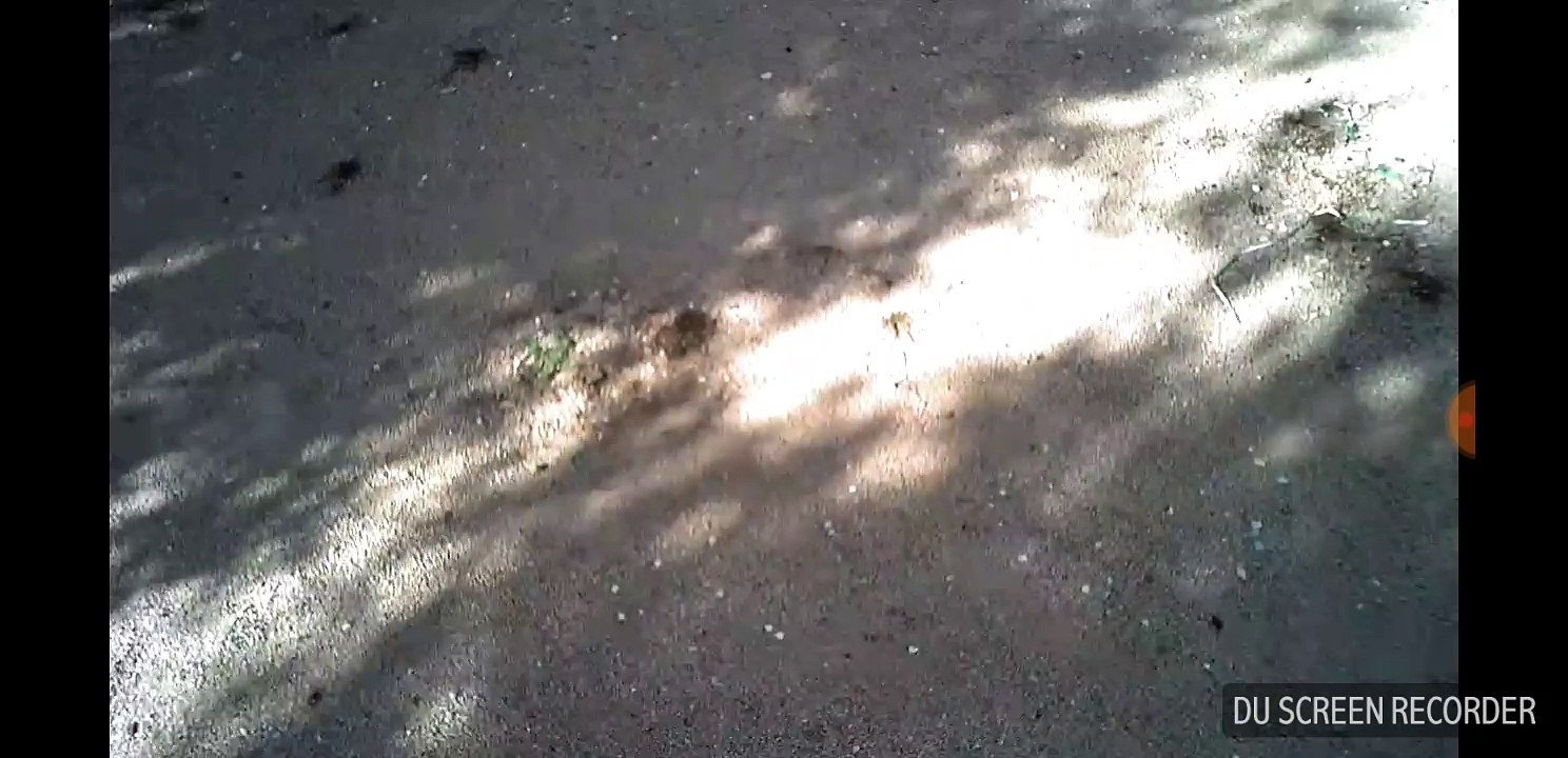 GoolRC T5W Pro: Sample video