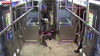 Etats-Unis : Un suspect tente de s'immoler dans un train en pleine arrestation (vidéo)