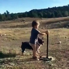 Friendship between kid & dog
