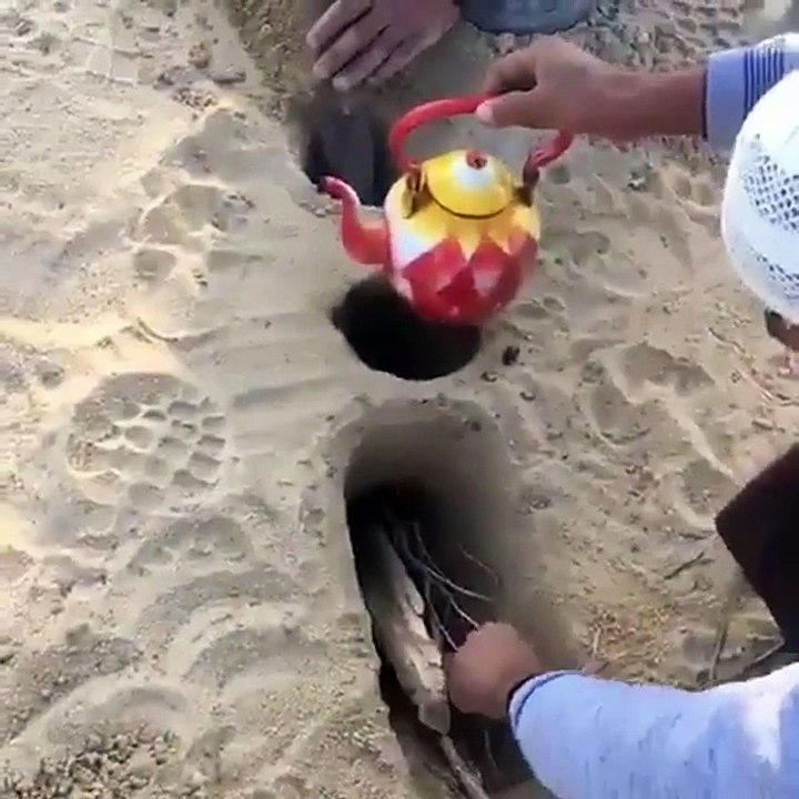 Awesome Tea making