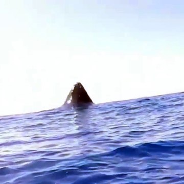 You never seen before - سبحان اللہ العظیم وبحمدہ