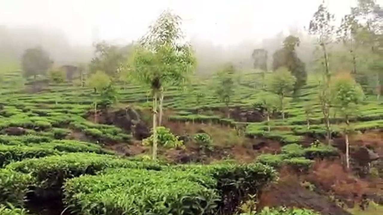 Vythiri. Wayanad. INDIA