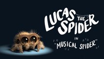 Lucas the Spider - Musical Spider