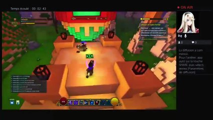 Partie avec Les potes sur TROVE (2)