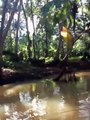 peace and tranquility of a backwater canoe trip in Kerala