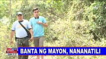 Banta ng Mayon, nananatili